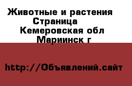  Животные и растения - Страница 12 . Кемеровская обл.,Мариинск г.